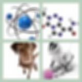 Level 59 Answer 14 - Atomic Dog