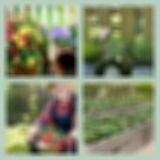 Level 59 Answer 4 - Garden