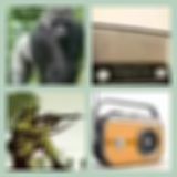 Level 5 Answer 6 - Guerilla Radio