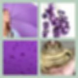 Level 5 Answer 11 - Purple Rain