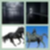 Level 62 Answer 11 - Dark Horse