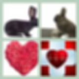 Level 64 Answer 6 - Rabbit Heart