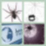 Level 65 Answer 13 - Spiderwebs