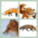 Level 65 Answer 5 - The Fox