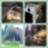 Level 65 Answer 9 - The Cave