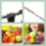 Level 66 Answer 1 - Flute Fruit