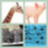 Level 67 Answer 10 - The Animal Song
