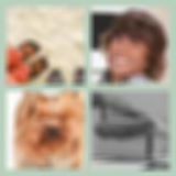 Level 71 Answer 15 - Shag