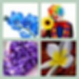 Level 72 Answer 13 - Flower