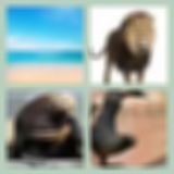 Level 78 Answer 8 - The Sea Lion