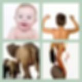 Level 7 Answer 13 - Baby Got Back