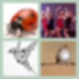 Level 80 Answer 1 - Lady Bird
