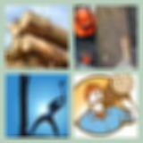 Level 80 Answer 5 - Timber