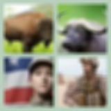Level 84 Answer 6 - Buffalo Soldier
