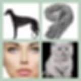 Level 86 Answer 12 - Grey Blue Eyes