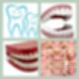 Level 86 Answer 2 - Teeth