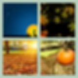 Level 87 Answer 13 - Night Fall