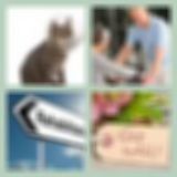 Level 87 Answer 15 - Recovery