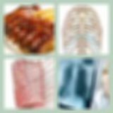 Level 88 Answer 1 - Ribs