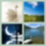 Level 88 Answer 13 - Swan Lake