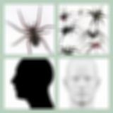 Level 88 Answer 6 - Spiderhead