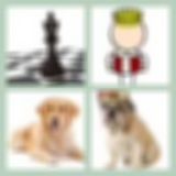 Level 89 Answer 13 - King Of The Dogs