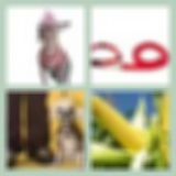 Level 8 Answer 13 - Freak On A Leash