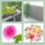 Level 92 Answer 13 - Wall Flower