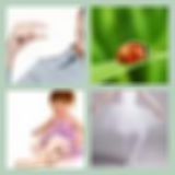 Level 9 Answer 21 - Tiny Dancer
