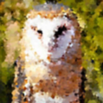 Level 10 Answer 9 - barn owl