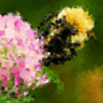 Level 2 Answer 8 - bumblebee