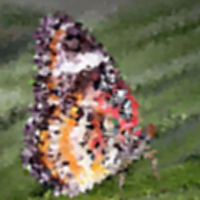 Level 3 Answer 6 - butterfly