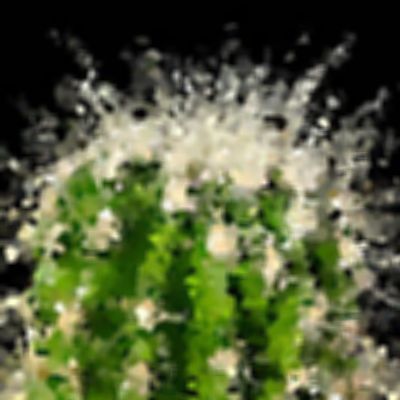Level 16 Answer 7 - cactus