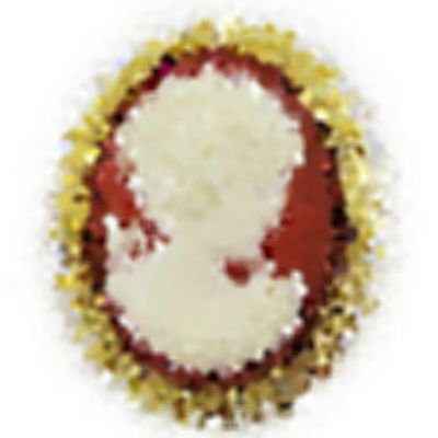Level 44 Answer 9 - cameo brooch