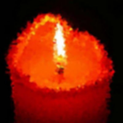 Close Up Pics Answers And Cheat Level 5 Page 1