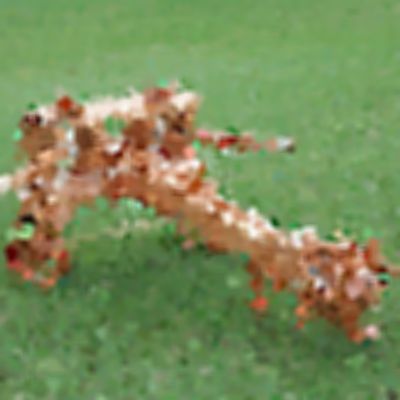Level 37 Answer 1 - catapult