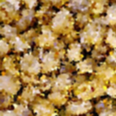 Close Up Pics Answers And Cheat Answers Containing 9 Letters