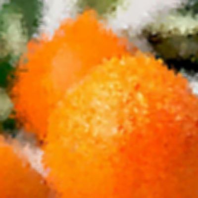 Level 26 Answer 9 - clementine