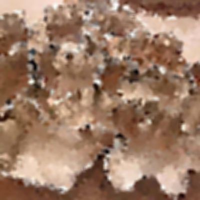 Level 34 Answer 8 - cookie cutters