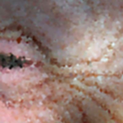 Level 37 Answer 6 - crows feet
