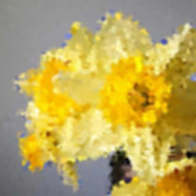 Level 10 Answer 5 - daffodils