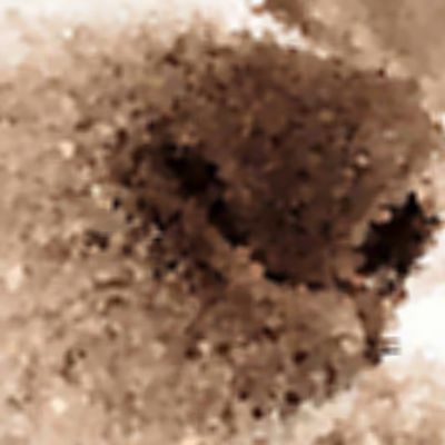 Level 36 Answer 1 - dog nose