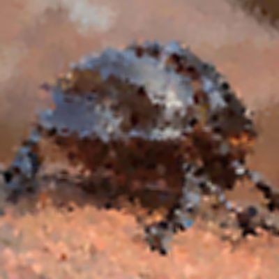 Level 17 Answer 8 - dung beetle