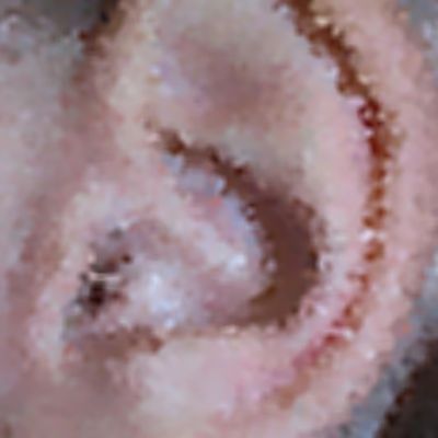 Level 40 Answer 7 - ear