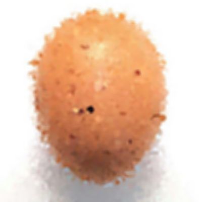 Level 5 Answer 9 - egg