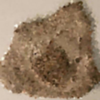 Level 31 Answer 2 - fossil