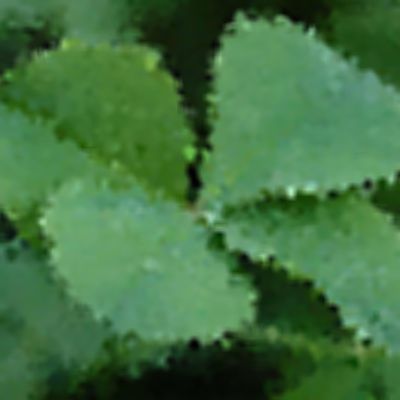 Level 42 Answer 4 - four leaf clover