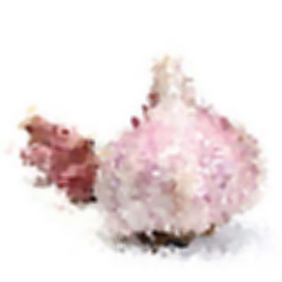 Level 4 Answer 9 - garlic