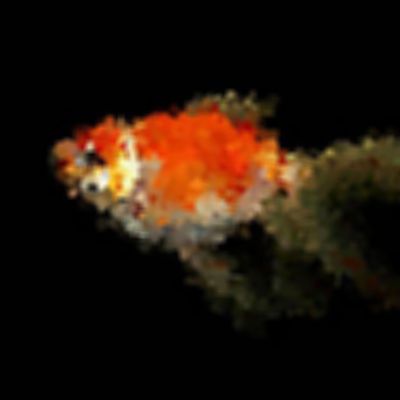 Level 3 Answer 5 - goldfish