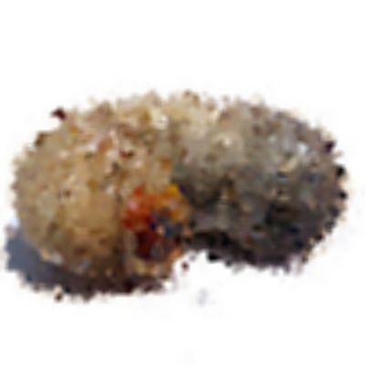 Level 12 Answer 1 - grub